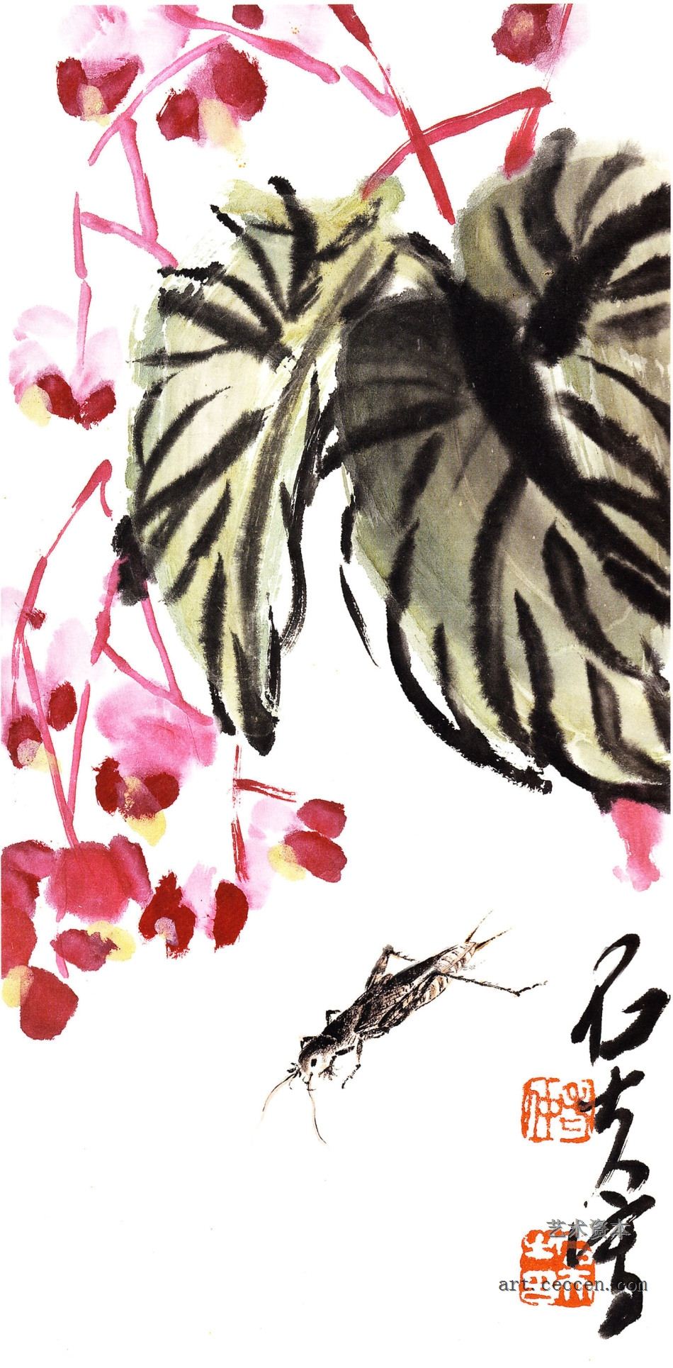 秋海棠 34.5x17cm 纸本墨笔 2010年 郭石夫